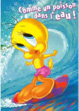 titi surf