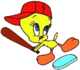 titi baseball