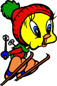 titi  o ski
